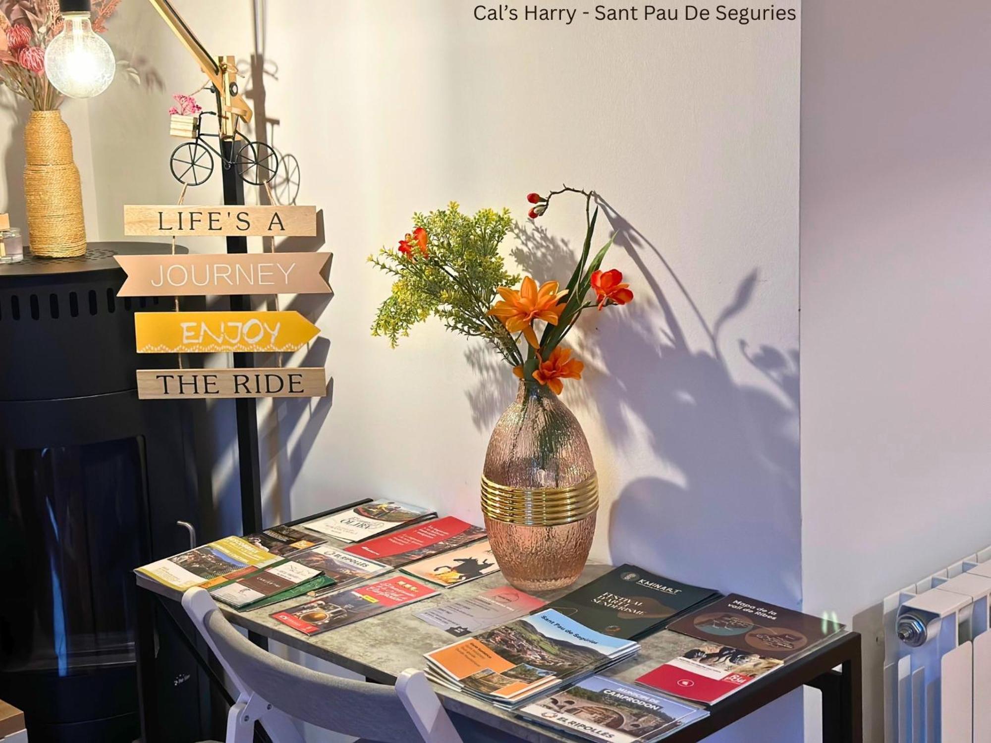 Cal Harrys - La Mejor Casa De Vacaciones En Pyrenees Con Vistas A La Montana 산트 파우 데 세구리에스 외부 사진
